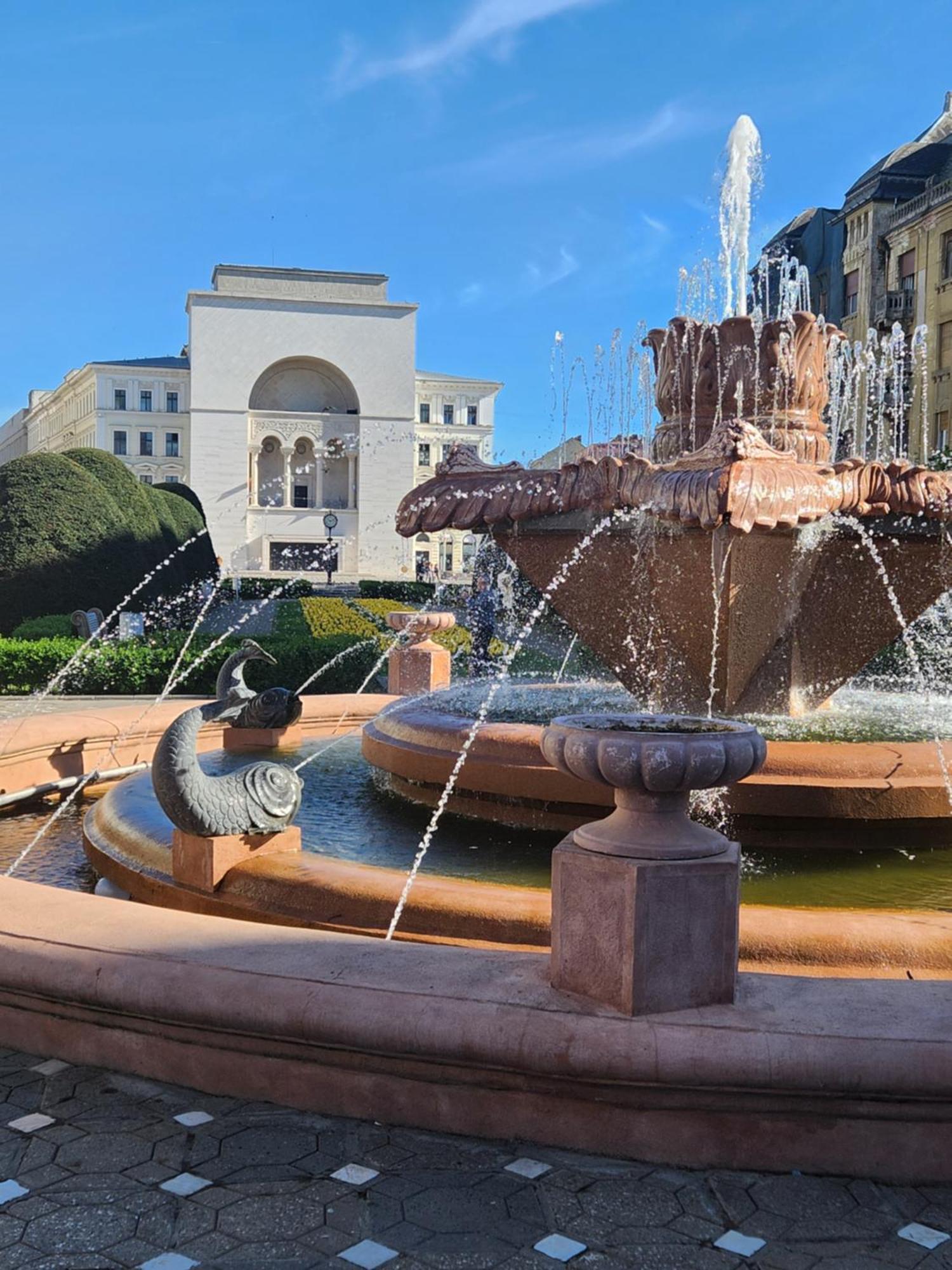 Central, Big Terrace, Near River Тимишоара Экстерьер фото